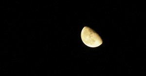 waning moon rising