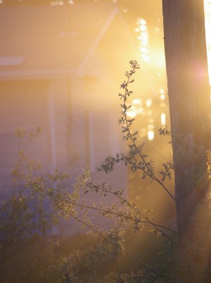 Light Within