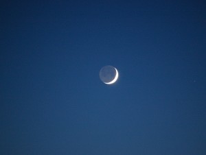 Crescent Moon and Venus