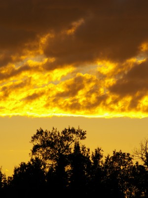 Sandy Lake sunrise 2010